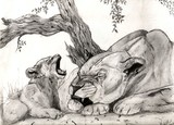 by Kim  Lawrie