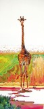 by shazeen poonawalla