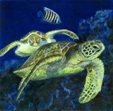 by jennifer  belote