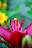 by Bill M