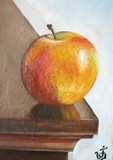by Jose Velasquez