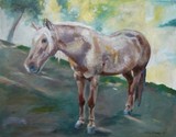 by Kathy Schoeppner