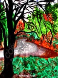 by diane carsey