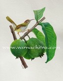 by Biju Mathew