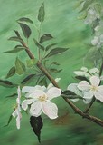 by Sheila Howell