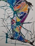 by Shamayra Smail