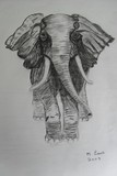 by margaret laws