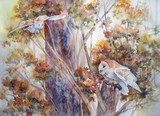 by Marilyn Fuerstenberg