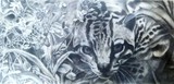 by clara aden