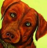 by Laura Grisham
