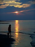 by Carol J. Hicks