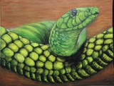 by Stacey Makar