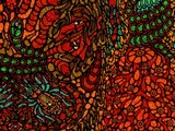 by samuel bohorquez