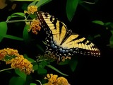 by J D Whaley