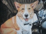 by cindy kelly