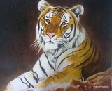 by pramod pardeshi