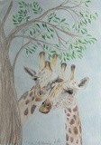 by Claudia Luethi alias Abdelghafar