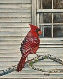 by Thomas Payne