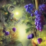 by Elizabeth Mix