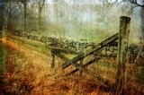 by Randi Grace Nilsberg