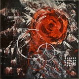 by Amanda Martin