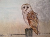 by Trudy Barlow