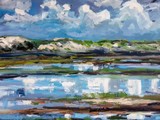 by wim van de wege