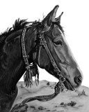 by Renato Žugec