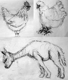 by Dana Koffenberger