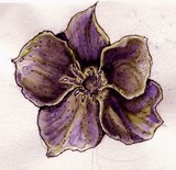 by Dana Koffenberger