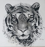 by Mita Vora