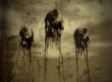by seth rose
