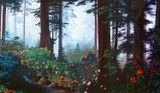 by Loren D Adams