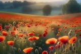 by Mihaela B