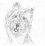 by Nancy Tews