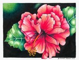 by Candy (Amanda) Christofferson (Meester)