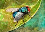 by Alina Contis