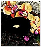 by Pepita Selles