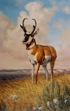 by J.H. (Jerry) Johnson