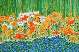 by Nira Dabush