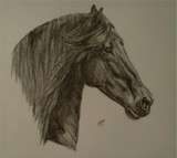 by Nastasia Nianiaris