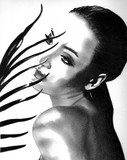 by Dawn Louise Russell Bigford