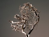 by Bart van Oijen