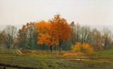by mihail uss