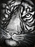 by Shanna Duncan