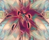 by Ginger Olansen