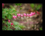 by DEE JOBES PHOTOGRAPHY