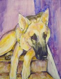 by JANIE THOMPSON-LIDE