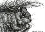 by AmyLyn Bihrle