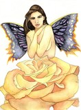 by Amanda Robison